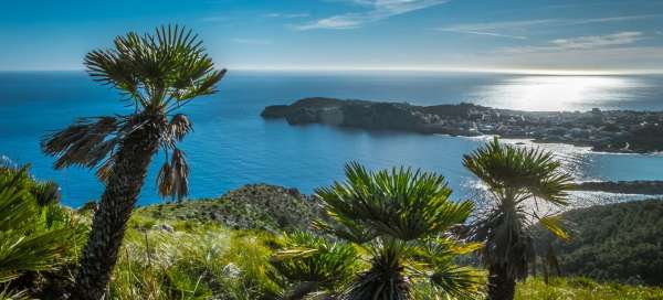 Wandeling naar de Talaia de Son Jaumell