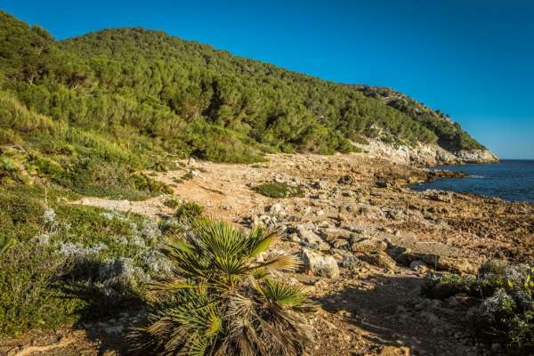 Cala Moltó