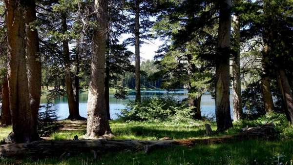 Gilmore Lake