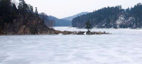 Chudobínská borovice: Počasí a sezóna