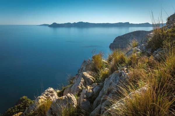 Badia d'Alcudia