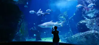 Sea Life Bangkok Ocean World