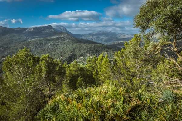 Serra de Tramuntana