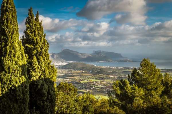 Port of Pollenca