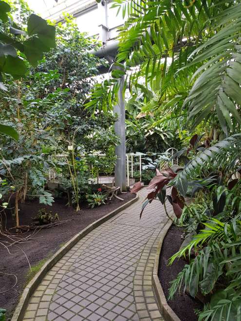 Ogród Botaniczny na Wydziale Uniwersytetu Karola