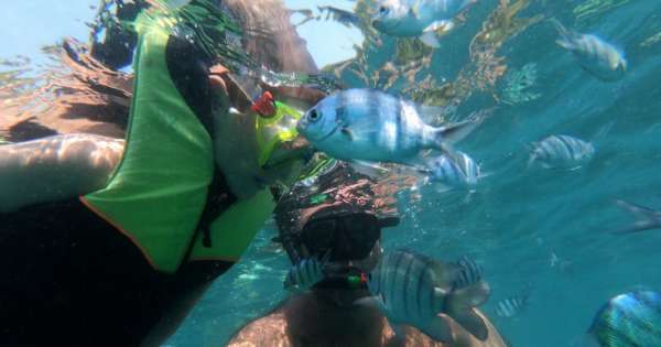 Snorkeling