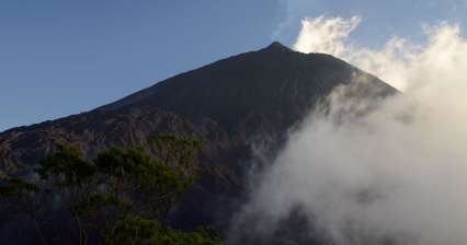 Pacaya volcano