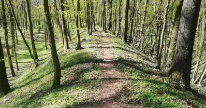 Ausflug nach Češovské valy