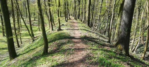 Viaggio a Češovské valy