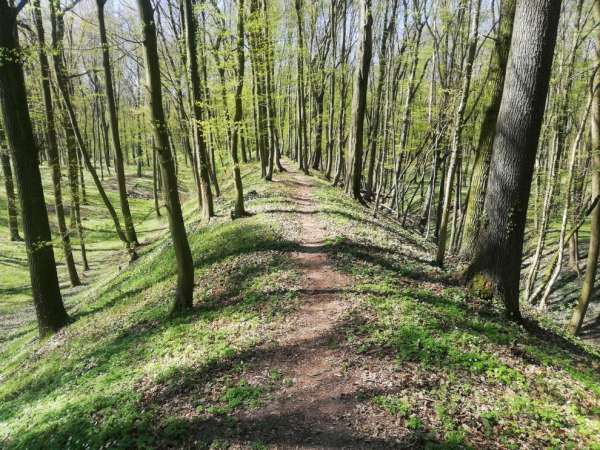 Longer le haut du rempart