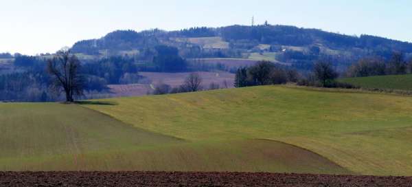 Cresta cosacca: Tempo e stagione