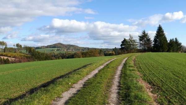 The road to Pařízek