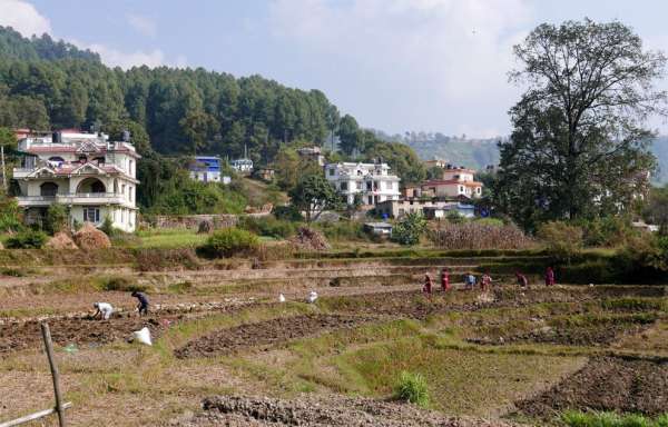 Agricultural landscape under Changu Narayan