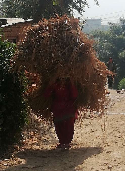 Le travail acharné des femmes locales