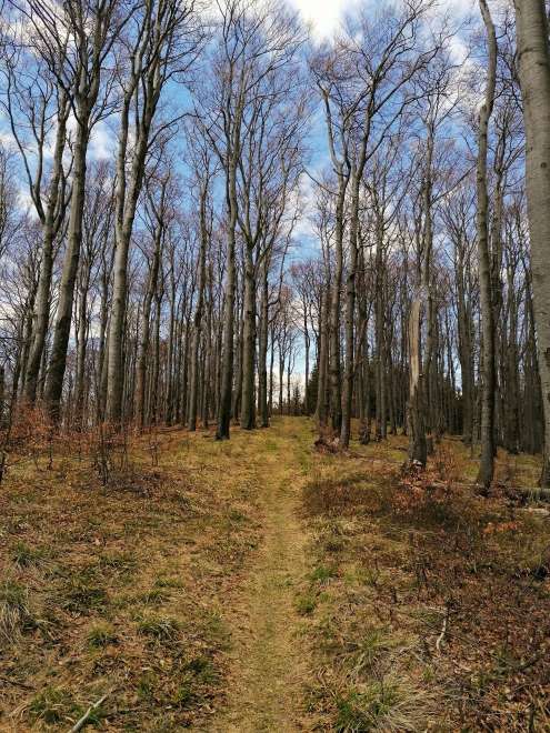 Auf dem Weg nach Noříčí hora