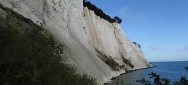 Seg