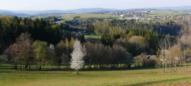 Spálov - Nouzov - 半徒步