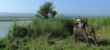 Chitwan