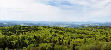 Girovagando nella Foresta Boema