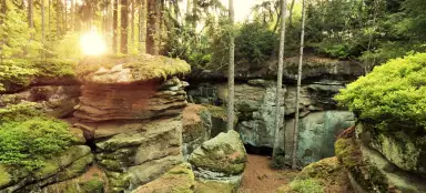 Javornická hřebenovka