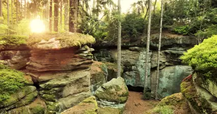 Javornická hřebenovka