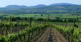 The most beautiful trips in South Moravia