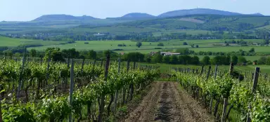 The most beautiful trips in South Moravia