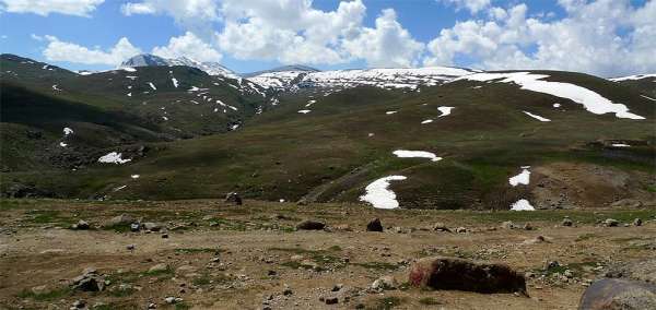 Deosai plains