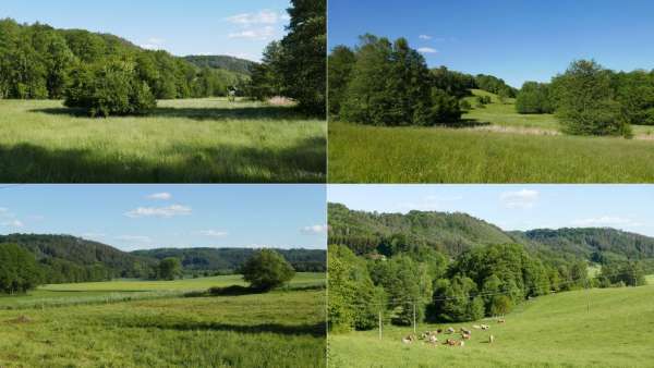 Paesaggio vicino a Olešnice