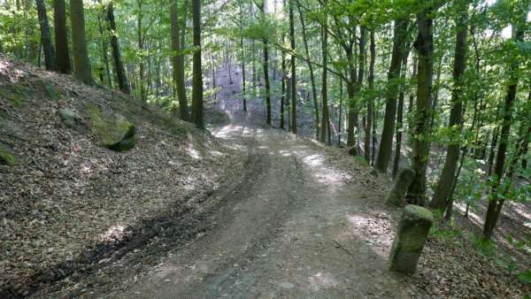 Descent to Všen