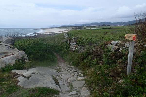 Trails along the coast