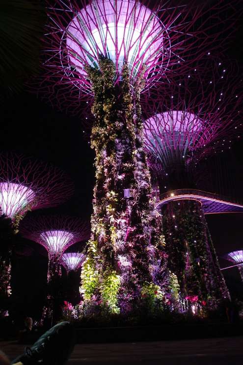 Záhrady Gardens by the Bay