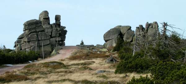 Piedras de cerdo: Alojamientos