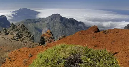 La Palma