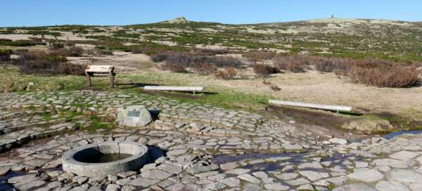 La fuente del Elba: Alojamientos