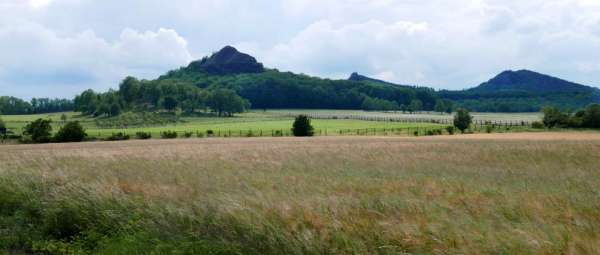 Widok na Plešivec