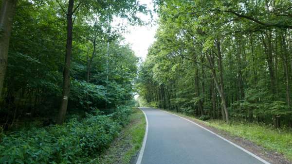 The road behind Děkovka