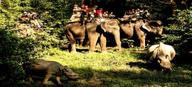 Park Narodowy Chitwan - atrakcje