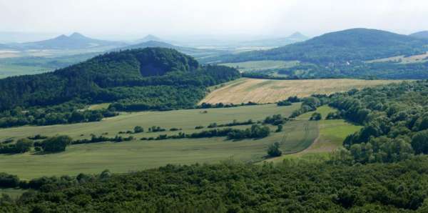 Milá, Raná e Oblík