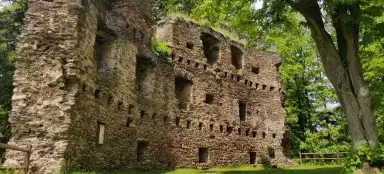 Les ruines du château de Dalečín