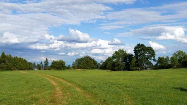 The road to the top of Kozince