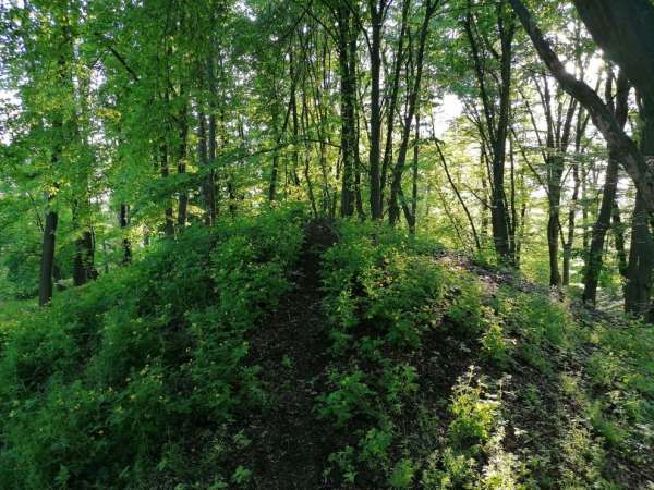 The peak of Mladějovská horka