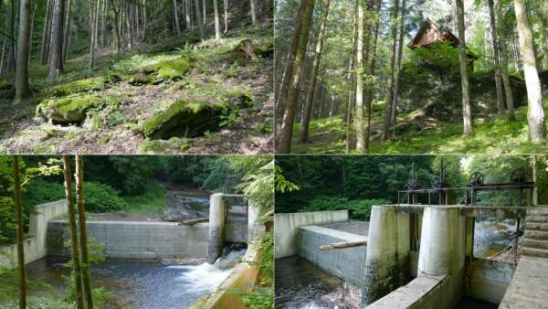 Route à travers la forêt jusqu'au barrage