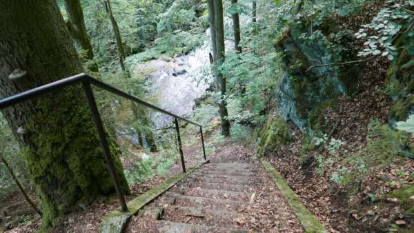 Pasillos con escaleras