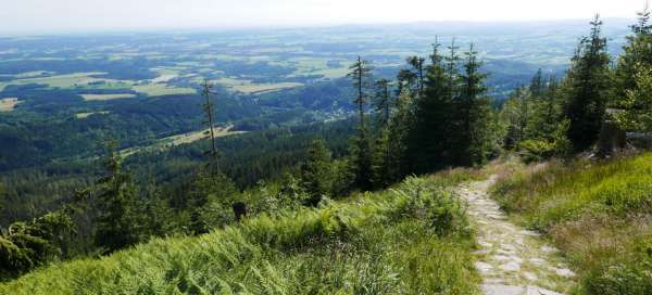 Ascent to Černá hora from Černý Důl