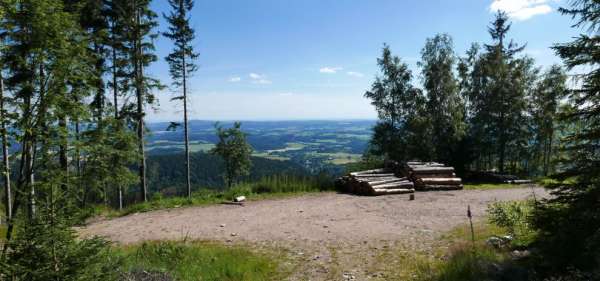 Par la route forestière