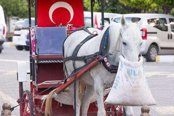 Ways of feeding in Cappadocia