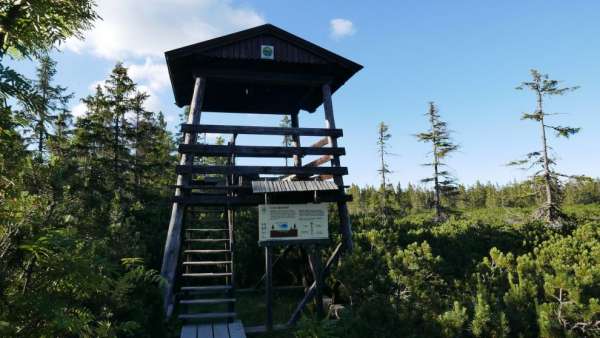 Torre de observação Black Mountain Peat