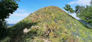 Plešivec (Montagnes centrales de Bohême)