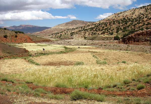 Campos en una encrucijada